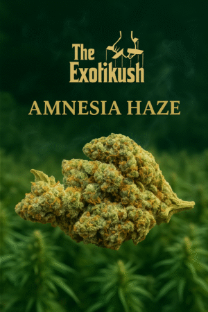 CRYSTAL AMNESIA