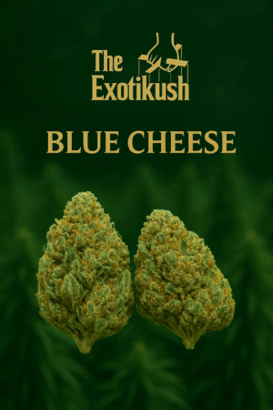 BLUE CHEESE