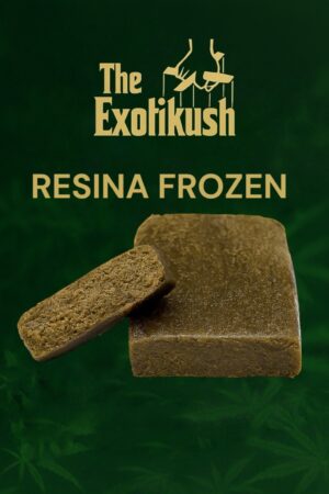 RESINA FROZEN
