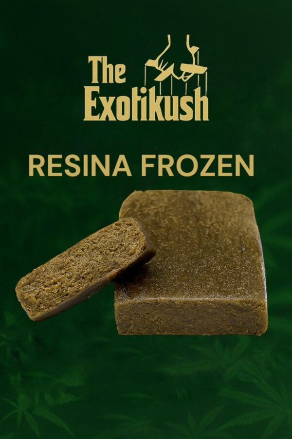 RESINA FROZEN